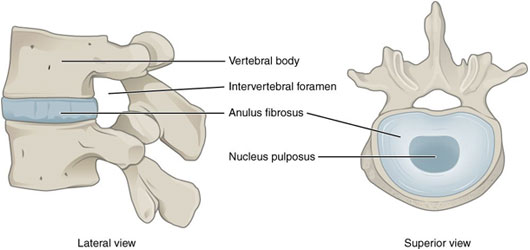 chiropractic treatment for neck pain